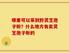 哪里可以采到野灵芝孢子粉？什么地方有卖灵芝孢子粉的