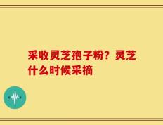 采收灵芝孢子粉？灵芝什么时候采摘