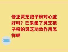 修正灵芝孢子粉对心脏好吗？已采集了灵芝孢子粉的灵芝功效作用怎样呢