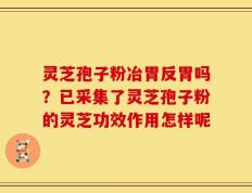 灵芝孢子粉冶胃反胃吗？已采集了灵芝孢子粉的灵芝功效作用怎样呢
