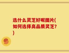 选什么灵芝好呢图片(如何选择高品质灵芝？)