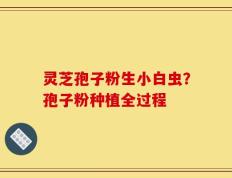 灵芝孢子粉生小白虫？孢子粉种植全过程