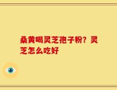 桑黄喝灵芝孢子粉？灵芝怎么吃好