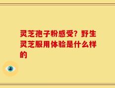 灵芝孢子粉感受？野生灵芝服用体验是什么样的
