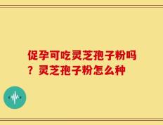 促孕可吃灵芝孢子粉吗？灵芝孢子粉怎么种