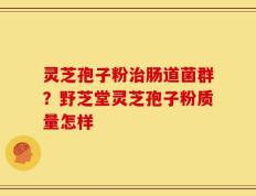灵芝孢子粉治肠道菌群？野芝堂灵芝孢子粉质量怎样