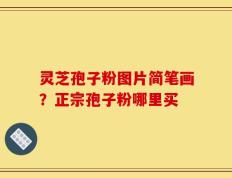 灵芝孢子粉图片简笔画？正宗孢子粉哪里买