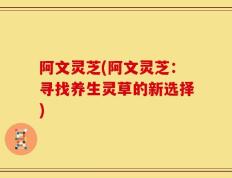 阿文灵芝(阿文灵芝：寻找养生灵草的新选择)