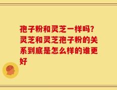 孢子粉和灵芝一样吗？灵芝和灵芝孢子粉的关系到底是怎么样的谁更好