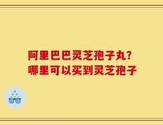 阿里巴巴灵芝孢子丸？哪里可以买到灵芝孢子