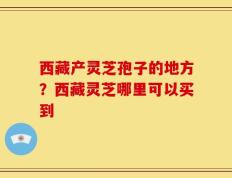 西藏产灵芝孢子的地方？西藏灵芝哪里可以买到