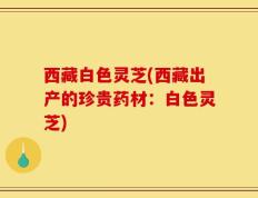 西藏白色灵芝(西藏出产的珍贵药材：白色灵芝)