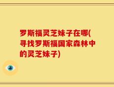 罗斯福灵芝妹子在哪(寻找罗斯福国家森林中的灵芝妹子)