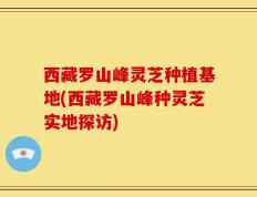 西藏罗山峰灵芝种植基地(西藏罗山峰种灵芝实地探访)