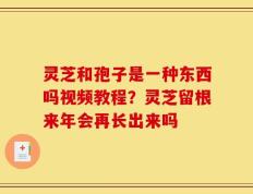 灵芝和孢子是一种东西吗视频教程？灵芝留根来年会再长出来吗