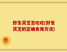 野生灵芝怎吃吃(野生灵芝的正确食用方法)