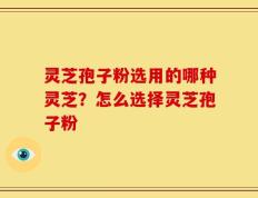 灵芝孢子粉选用的哪种灵芝？怎么选择灵芝孢子粉