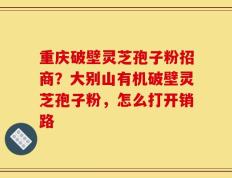 重庆破壁灵芝孢子粉招商？大别山有机破壁灵芝孢子粉，怎么打开销路
