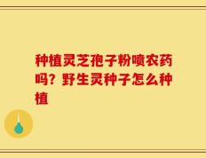 种植灵芝孢子粉喷农药吗？野生灵种子怎么种植