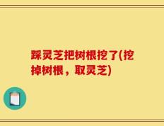 踩灵芝把树根挖了(挖掉树根，取灵芝)