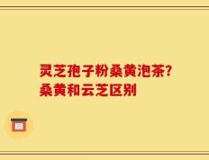 灵芝孢子粉桑黄泡茶？桑黄和云芝区别