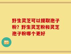 野生灵芝可以提取孢子粉？野生灵芝粉和灵芝孢子粉哪个更好