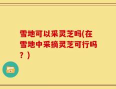 雪地可以采灵芝吗(在雪地中采摘灵芝可行吗？)