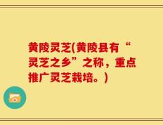 黄陵灵芝(黄陵县有“灵芝之乡”之称，重点推广灵芝栽培。)
