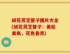 绒花灵芝簪子图片大全(绒花灵芝簪子：美轮美奂，花色各异)