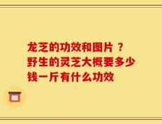 龙芝的功效和图片 ？野生的灵芝大概要多少钱一斤有什么功效