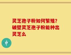 灵芝孢子粉如何繁殖？破壁灵芝孢子粉能种出灵芝么
