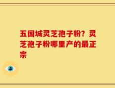 五国城灵芝孢子粉？灵芝孢子粉哪里产的最正宗