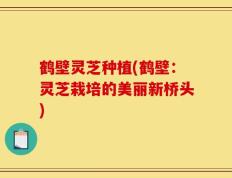 鹤壁灵芝种植(鹤壁：灵芝栽培的美丽新桥头)