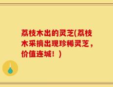 荔枝木出的灵芝(荔枝木采摘出现珍稀灵芝，价值连城！)
