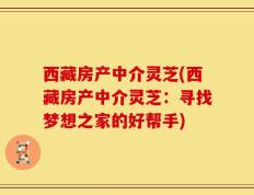 西藏房产中介灵芝(西藏房产中介灵芝：寻找梦想之家的好帮手)