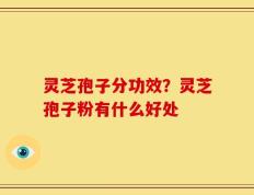 灵芝孢子分功效？灵芝孢子粉有什么好处