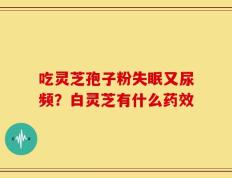 吃灵芝孢子粉失眠又尿频？白灵芝有什么药效