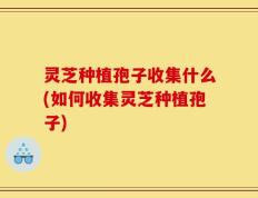 灵芝种植孢子收集什么(如何收集灵芝种植孢子)
