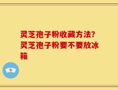 灵芝孢子粉收藏方法？灵芝孢子粉要不要放冰箱
