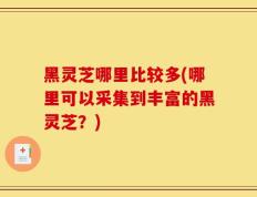 黑灵芝哪里比较多(哪里可以采集到丰富的黑灵芝？)