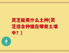 灵芝能用什么土种(灵芝适合种植在哪些土壤中？)