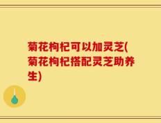 菊花枸杞可以加灵芝(菊花枸杞搭配灵芝助养生)