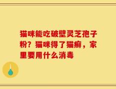 猫咪能吃破壁灵芝孢子粉？猫咪得了猫癣，家里要用什么消毒