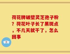 荷花牌破壁灵芝孢子粉？荷花叶子长了黑斑点，不几天就干了，怎么回事