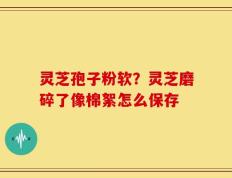 灵芝孢子粉软？灵芝磨碎了像棉絮怎么保存