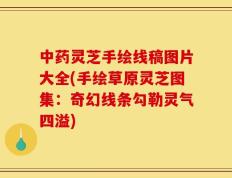 中药灵芝手绘线稿图片大全(手绘草原灵芝图集：奇幻线条勾勒灵气四溢)