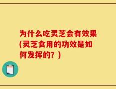 为什么吃灵芝会有效果(灵芝食用的功效是如何发挥的？)