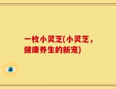 一枚小灵芝(小灵芝，健康养生的新宠)