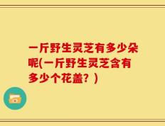 一斤野生灵芝有多少朵呢(一斤野生灵芝含有多少个花盖？)