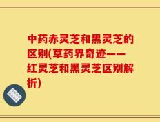 中药赤灵芝和黑灵芝的区别(草药界奇迹——红灵芝和黑灵芝区别解析)